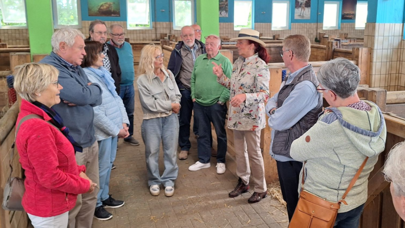 Klassentreffen auf der Ballermann Ranch
