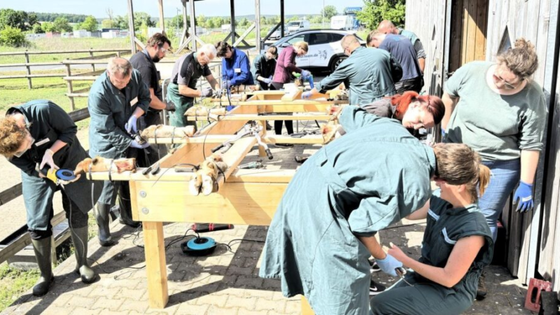 Die Klauen tragen die Milch-Workshop „Klauenorthopädie & Klauenpflege“ für Tierärzt:innen der Rindermedizin