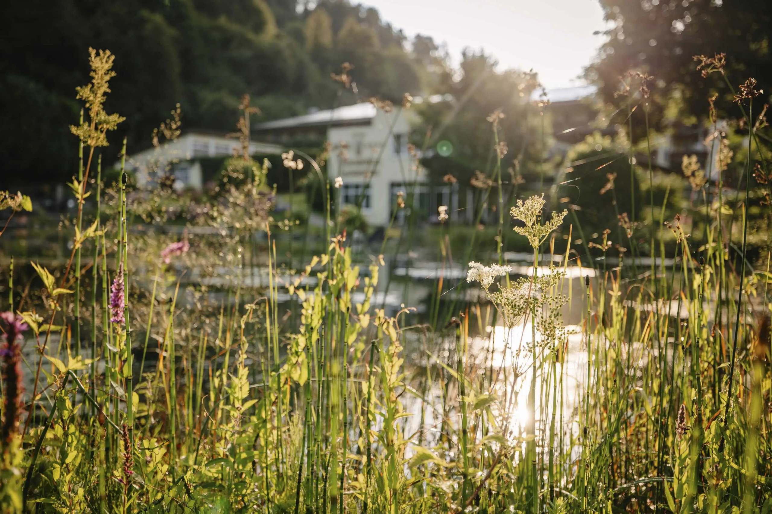 Exklusiver Wellnessurlaub in den Bergen