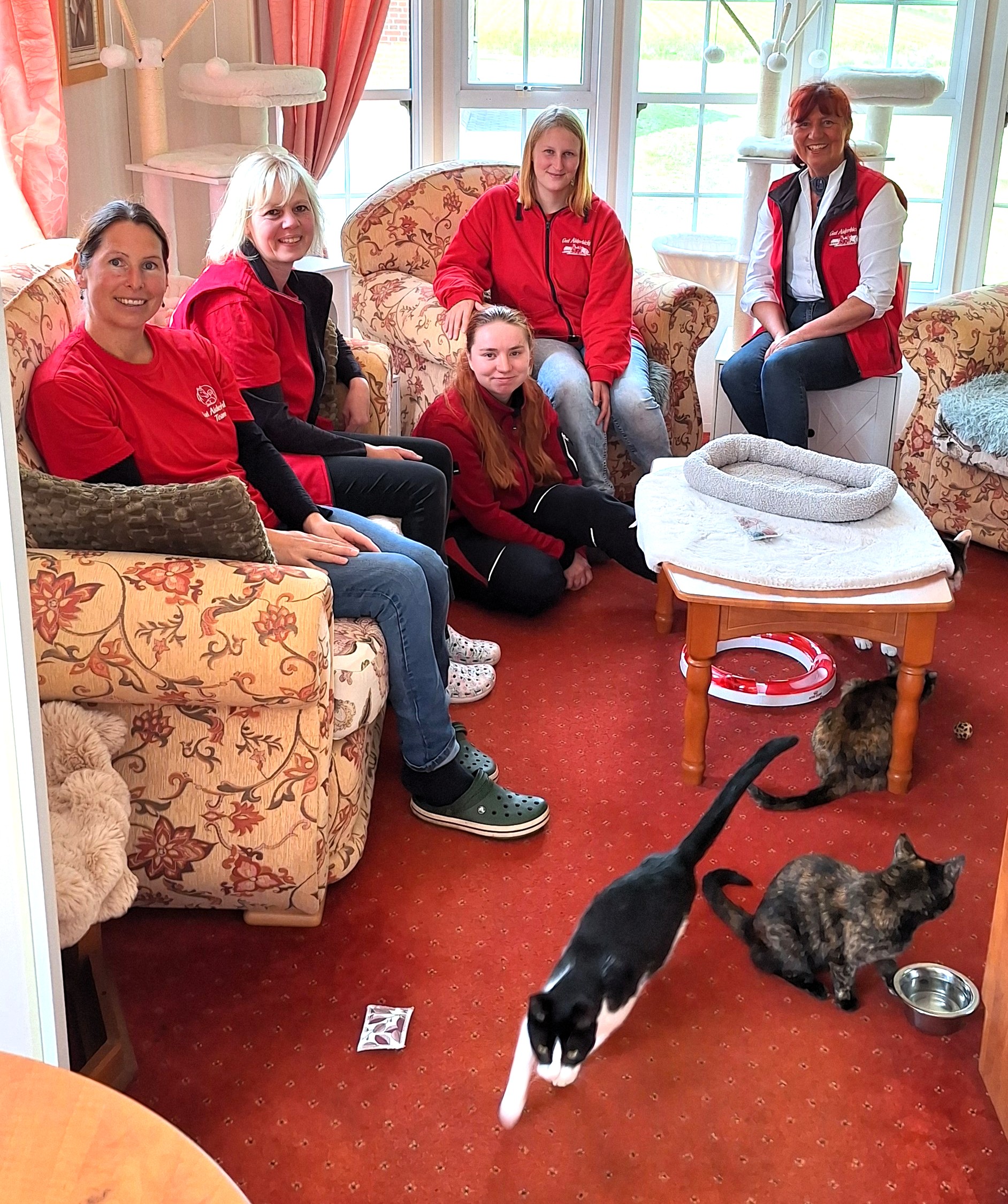 Das Waisenhaus der Katzen in Niedersachsen