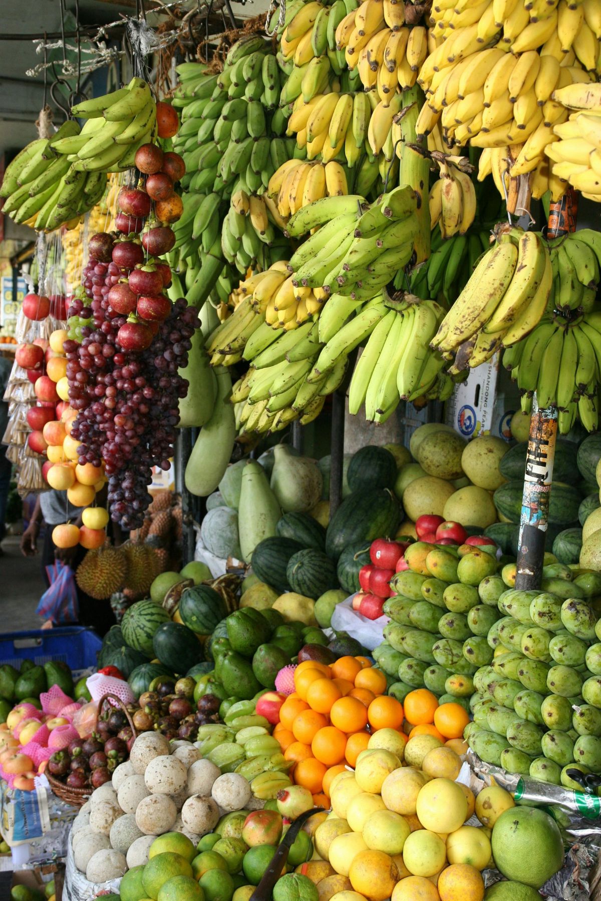 Isac Schwarzbaum’s Guide to Fruit Markets in Central America