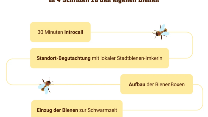Bienen – kleines Summen, große Wirkung