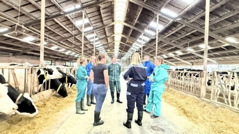 Erfolgreicher AVA- Fütterungscontrolling-Workshop im Milchkuhbetrieb für Tierärzte, Landwirte und Berater