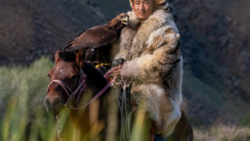Die Gobi atmet auf