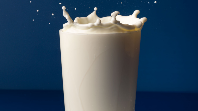 Schon beginnt die Schule wieder: Milch und Joghurt werden zu den perfekten Verbündeten fürs Frühstück