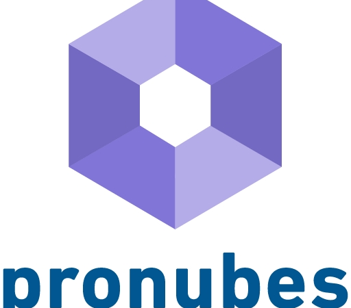 pronubes – Die Plattform für IT/OT Integration