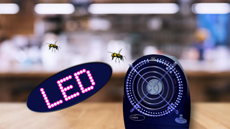 Die innovative UV-LED-Wespenfalle