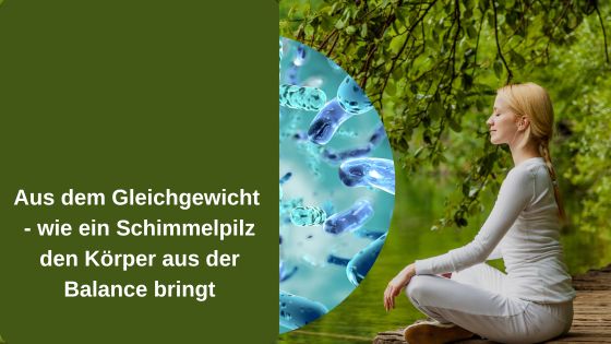 Aus dem Gleichgewicht – wie ein Schimmelpilz den Körper aus der Balance bringt