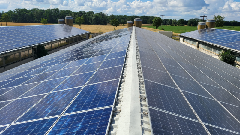valuteo Values: Photovoltaik-Investments ab 50.000 Euro