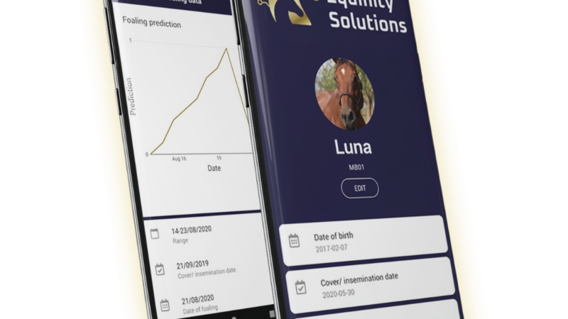 Carlson VC bringt Equinity Vision für Pferdegesundheit