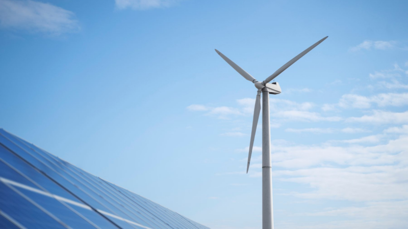LUOX Energy startet automatische Abregelung bei negativen Börsenstrompreisen – Höhere Einnahmen für Anlagenbetreiber:innen