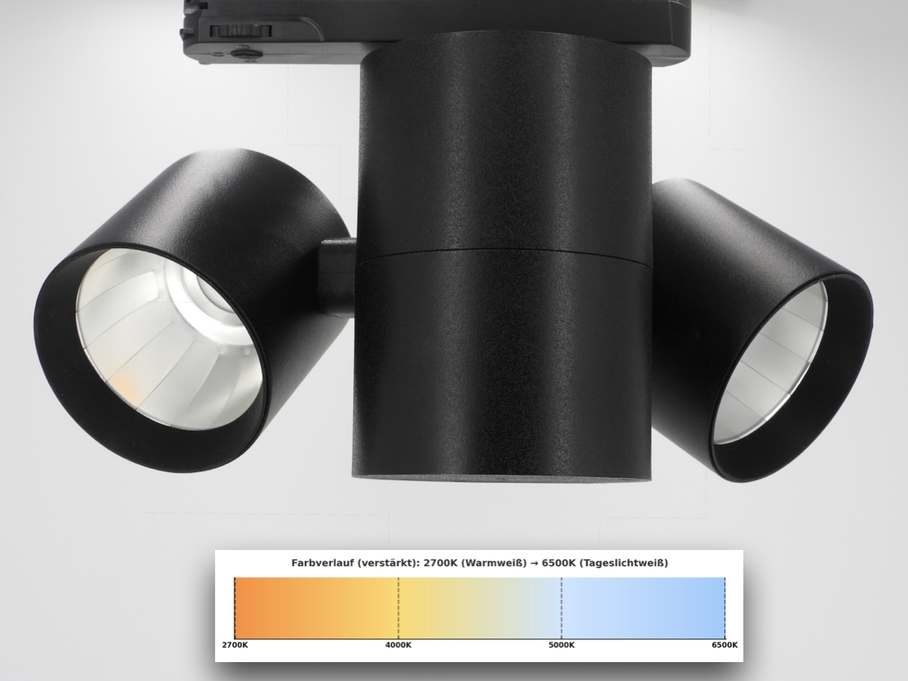 Tunable White Galeriebeleuchtung für perfekte Lichtstimmung