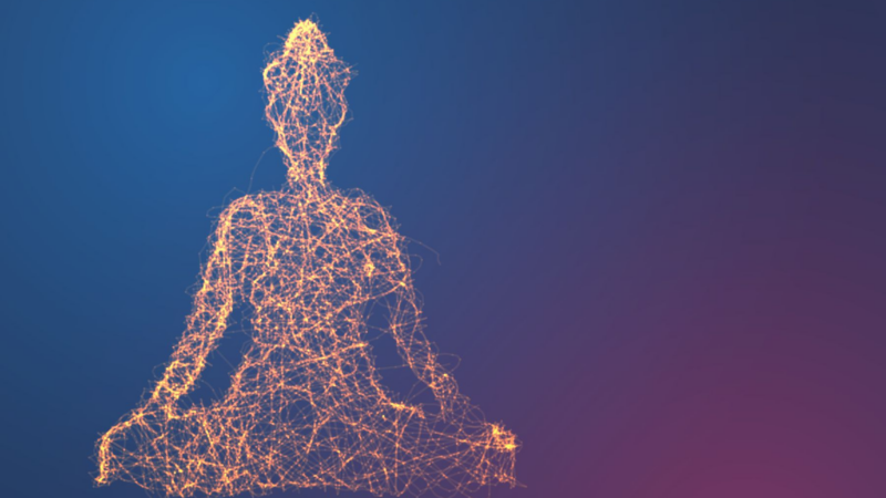 The Neuroscience of Mindfulness Meditation: How Regular Practice Enhances Brain Health