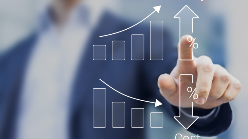 Holding-Modelle planen und umsetzen – Steuerliche Intelligenz für Unternehmer