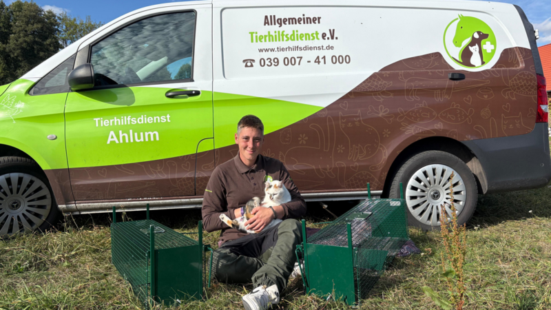 Tierhilfsdienst fordert bundesweite Kastrationspflicht