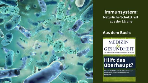 Immunsystem: Natürliche Schutzkraft aus der Lärche