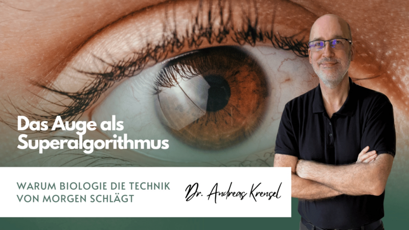 Das Auge als Superalgorithmus – warum Biologie die Technik von morgen schlägt