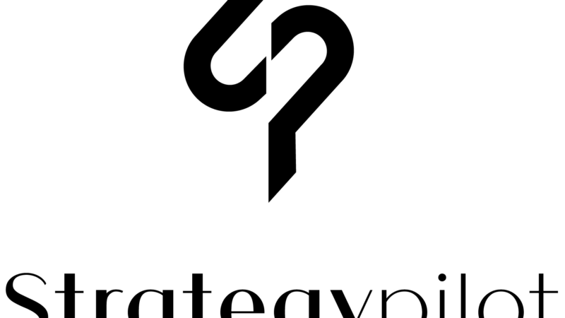 StrategyPilot – New Company of the Year 2025