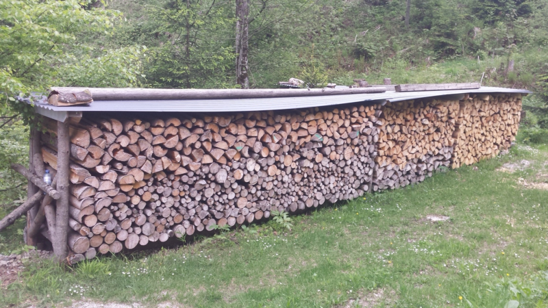 Aus der Region, für die Region: Warum Brennholz keine Konkurrenz zum Bauholz ist