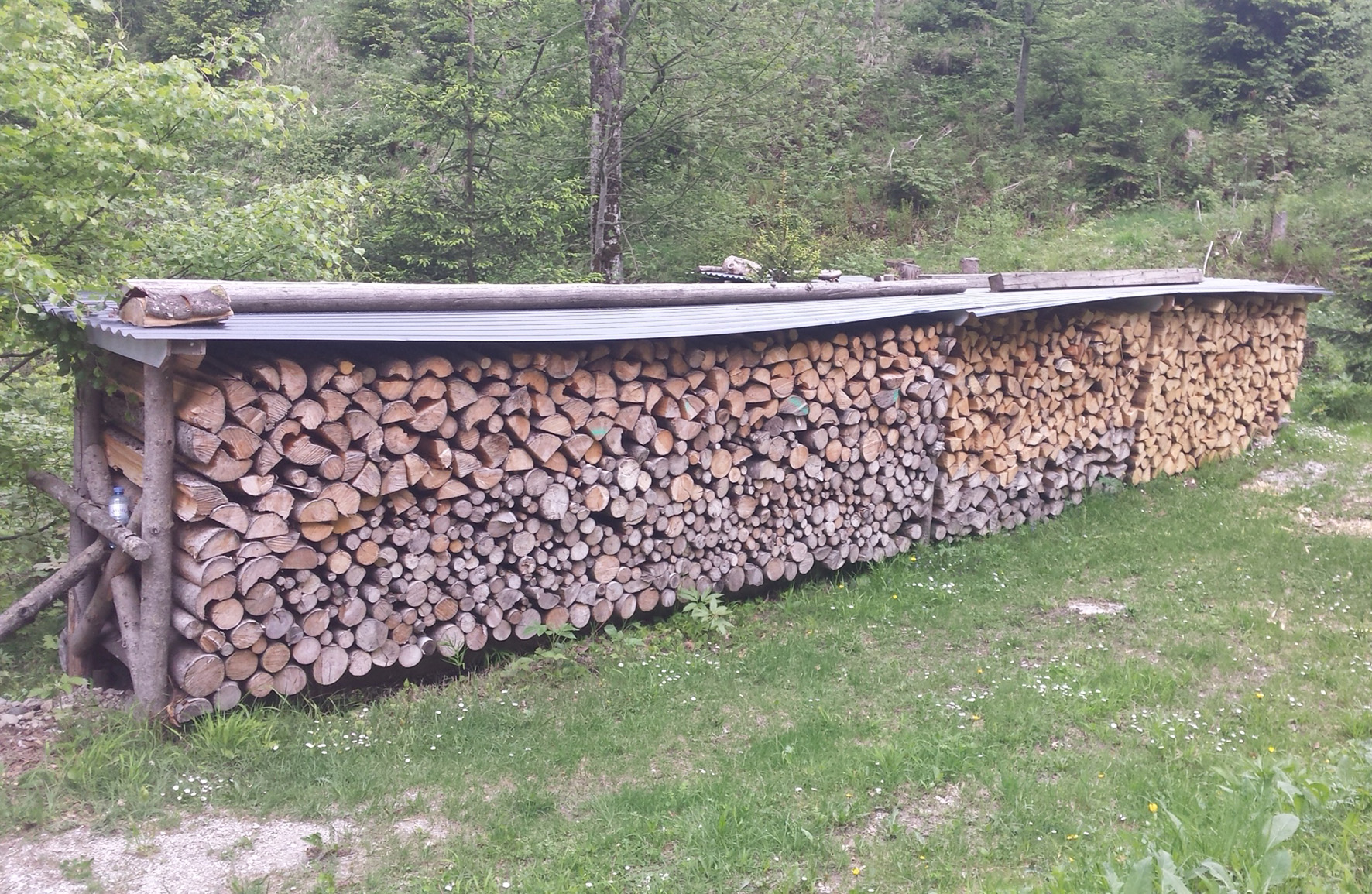 Aus der Region, für die Region: Warum Brennholz keine Konkurrenz zum Bauholz ist
