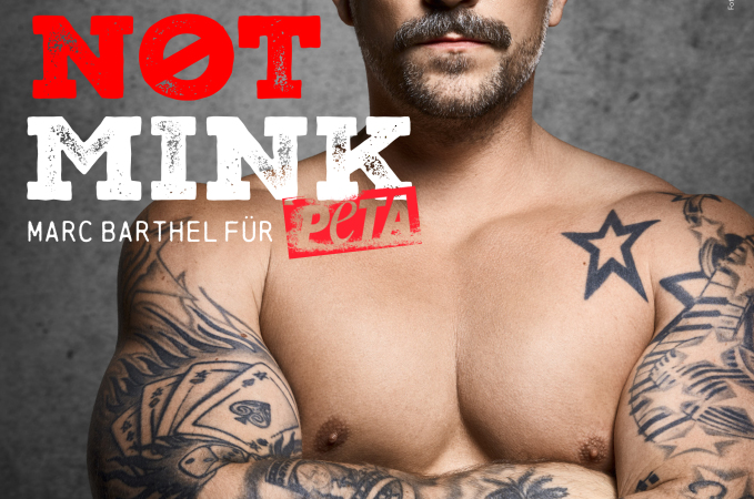 Marc Barthel zieht blank: Schauspieler engagiert sich mit neuem PETA-Motiv gegen Pelz – seine Botschaft: „Ink not Mink!“
