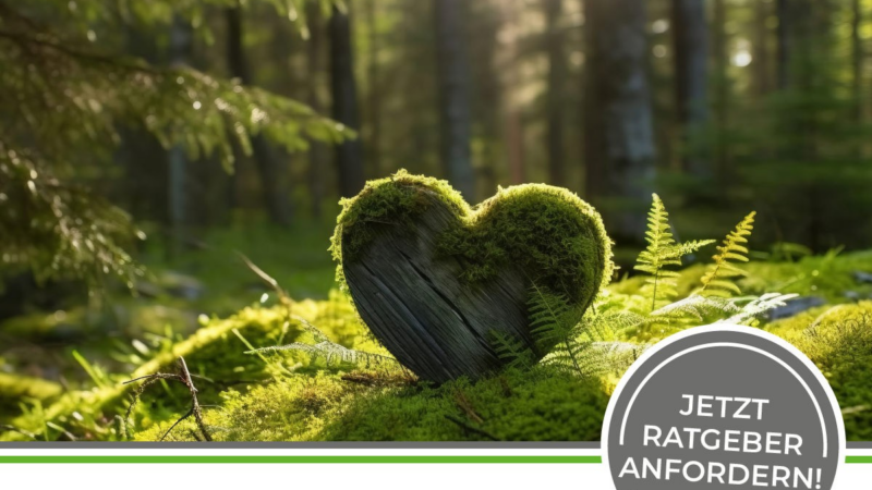 Geerbte Immobilien – Ein umfassender Ratgeber