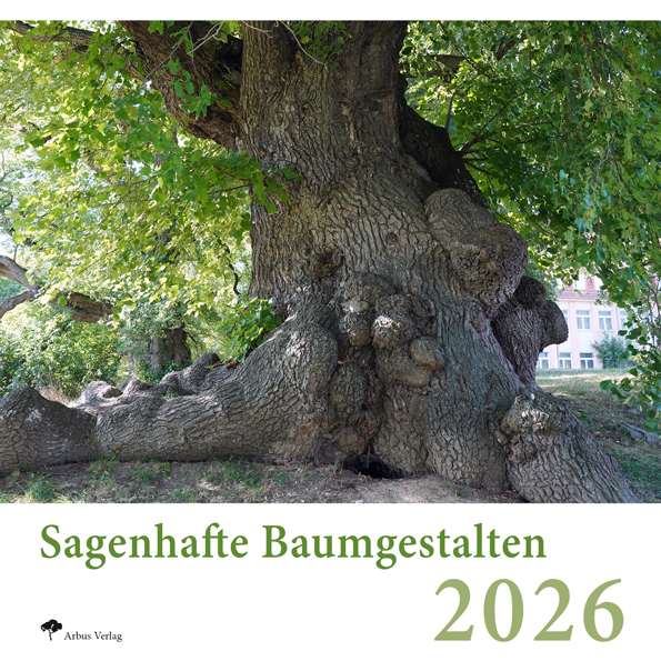 Baumkalender 2026: Einzigartige, sagenhafte Bäume
