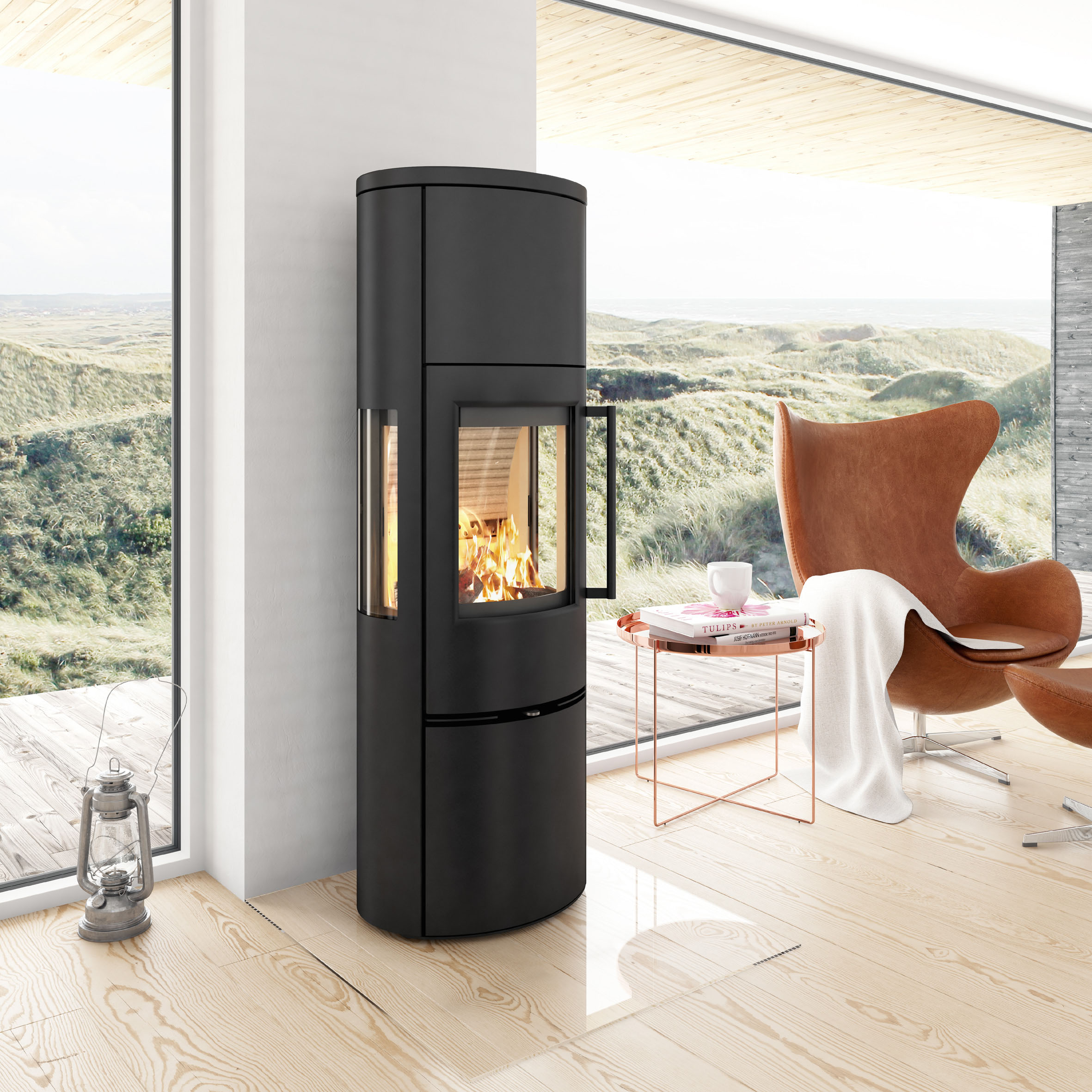 Ratgeber: Holzfeuerungen im Überblick