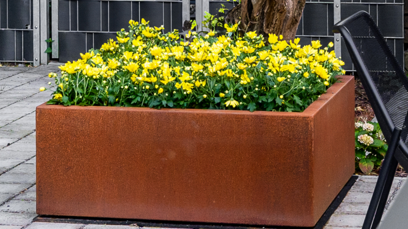 Cortenstahl Pflanzkübel – die Alleskönner im Garten