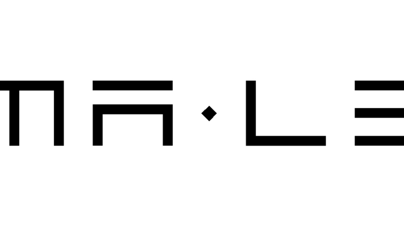 Sichtbarkeit bei Google und KI-Suchen entscheidet über den Geschäftserfolg