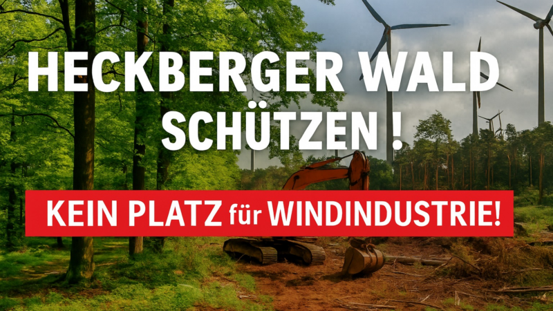 Petition zum Schutz des Heckberger Waldes gestartet