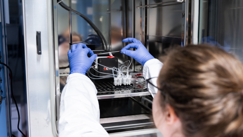 Dynamic42: Neues TME-Kit für bessere Labor-Krebsmodelle