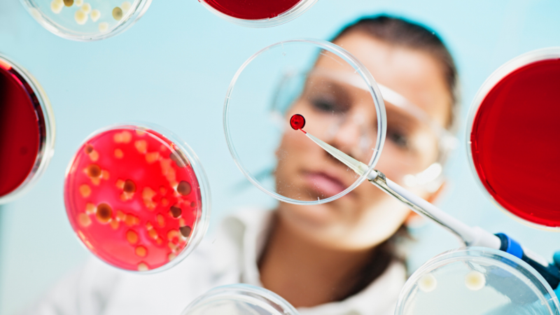 Bio-Recycling von Kunststoff