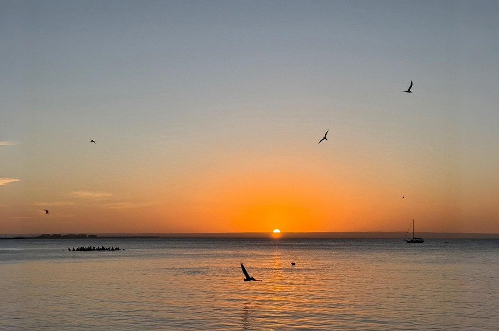 Projekt „Weihnachten“: Warum Gelassenheit das beste Geschenk ist