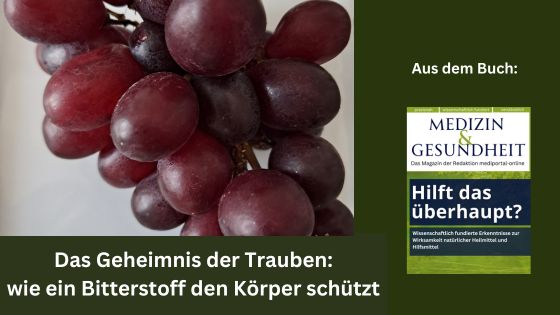 Das Geheimnis der Trauben: Wie ein Bitterstoff den Körper schützt