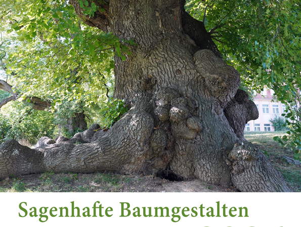 Weihnachten – Geschenkeflut: Sagenhafte Baumgestalten 2026 statt Socken, Putzzeug, Kitsch?