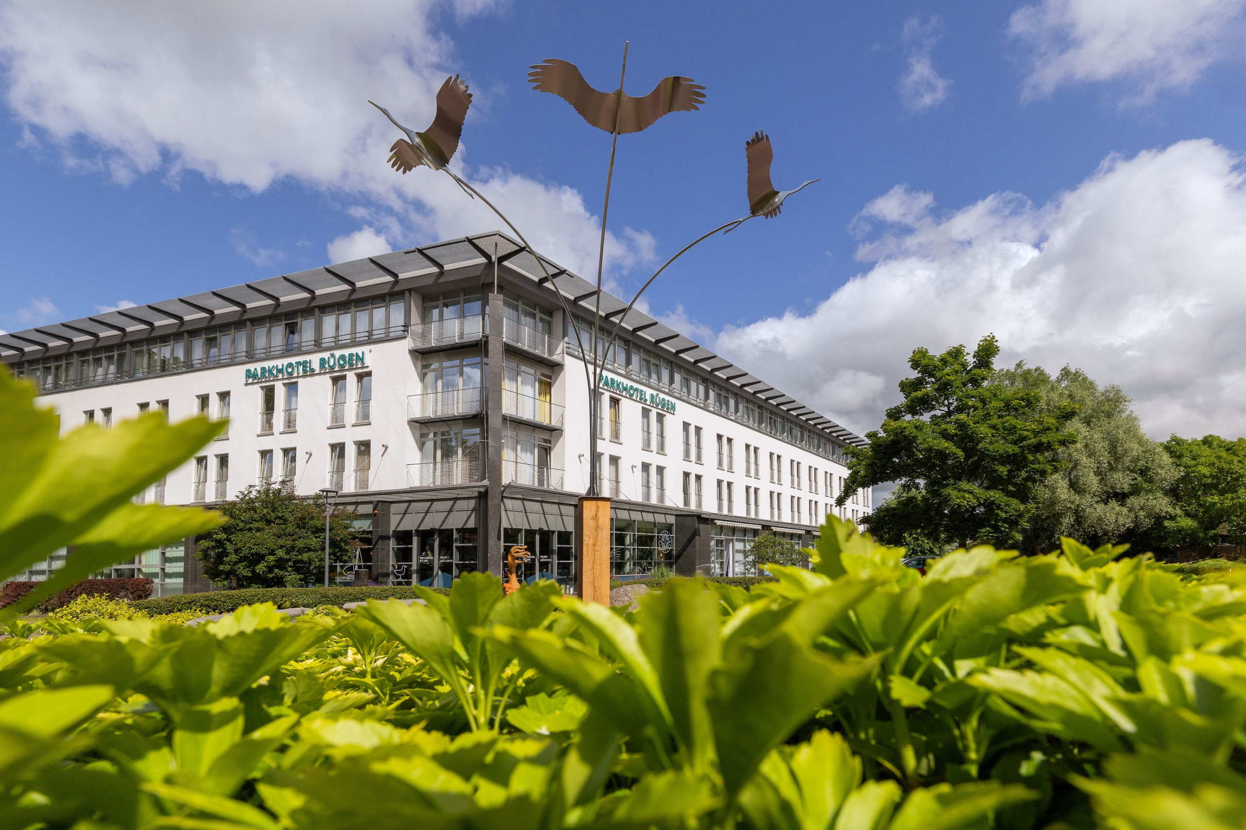 Parkhotel Rügen erhält Auszeichnung „Vier Sterne Superior“ – Qualität, Service und Vielseitigkeit bestätigt