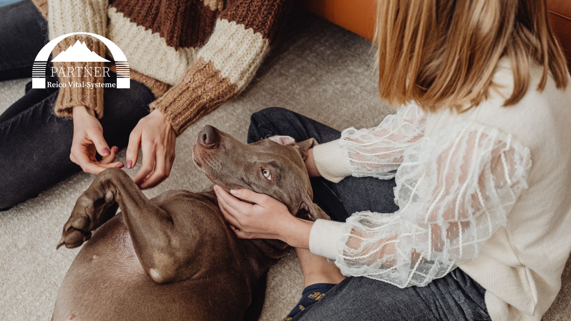 Reico Vital Systeme – was es mit dem Hundefutter auf sich hat