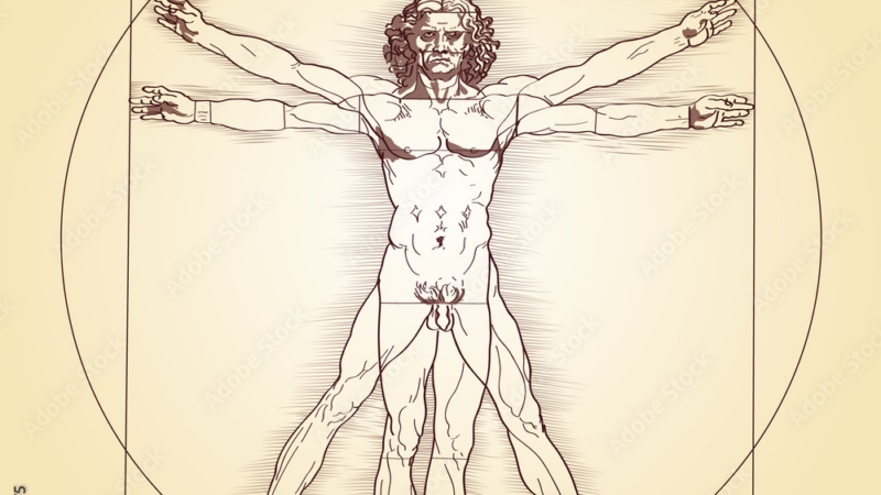 Der Mensch -neue Erkenntnisse