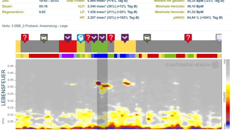 A Key to Deep Regeneration – Strengthening the Autonomic Nervous System Through Subtle Body Balance by the Goethert Method