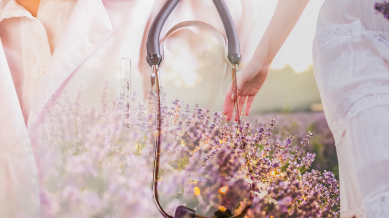 Recharging at Work? How Therapists Regain Inner Balance with the Goethert Method“s Subtle Body Balance