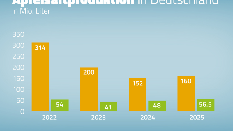 Apfelsaftproduktion 2025