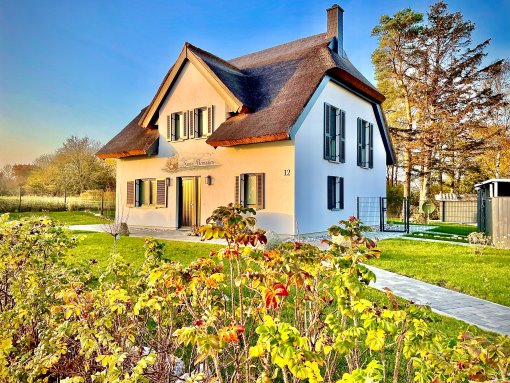 Urlaub auch mit mehreren Hunden am Meer Grundstück eingezäunt bis 8 Personen