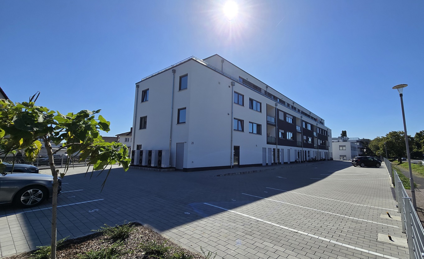 Die Erfahrungen der Protectum eG im Geschäftsjahr 2025