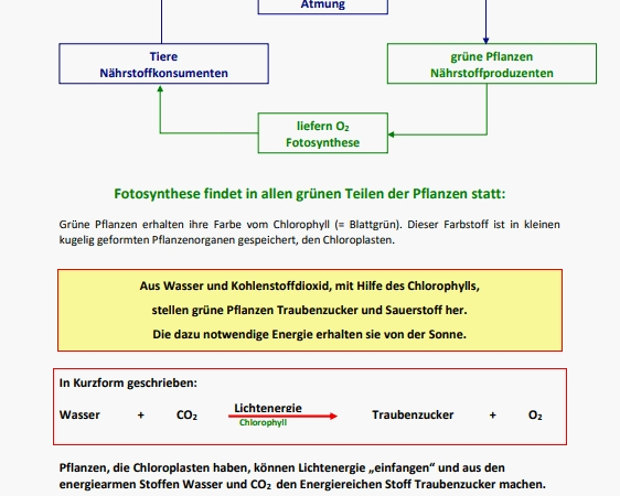 Veränderbare Arbeitsblätter verbessern Lernen in Biologie