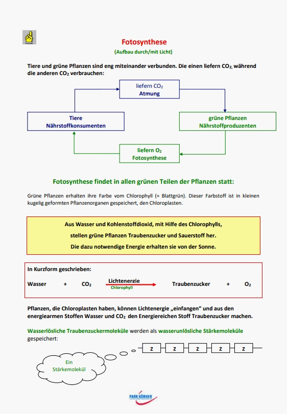 Veränderbare Arbeitsblätter verbessern Lernen in Biologie