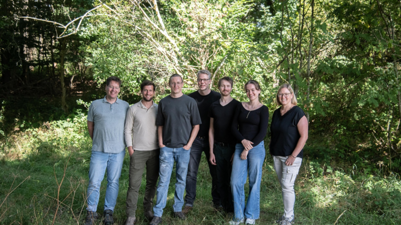 SAUBER ENERGIE zertifiziert alle Stromtarife mit Grüner Strom-Label