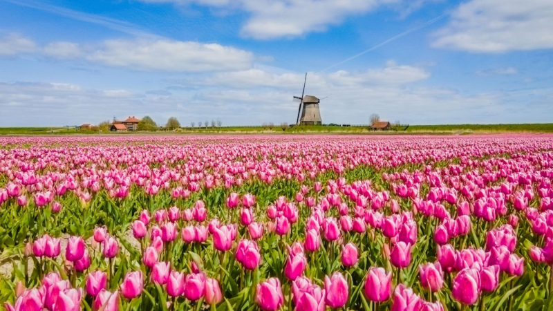 Moderner Standort: Nordholland Nord präsentiert sich auf der Grünen Woche