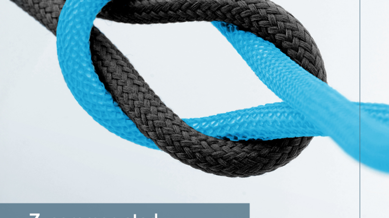 Ardex und wedi starten mit gemeinsamem Vertrieb ins neue Jahr