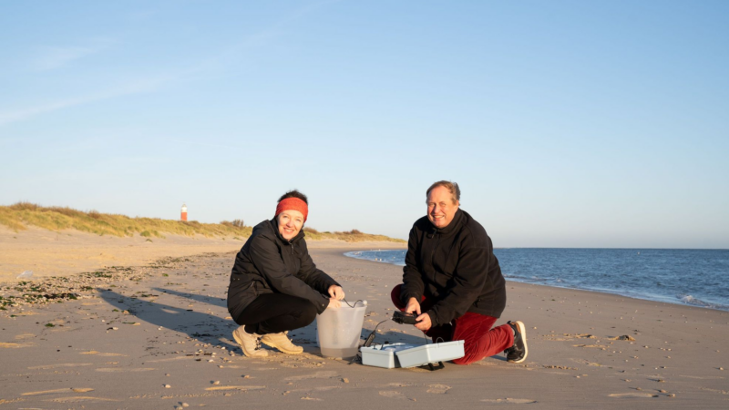 „Gesunde Insel“: Texel erhält europäische Auszeichnung als Seebadeort